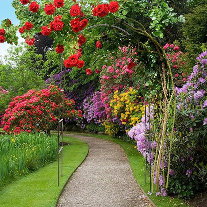 Arcadă Metalică pentru Plante Cățărătoare 240x140x38 cm – Negru
